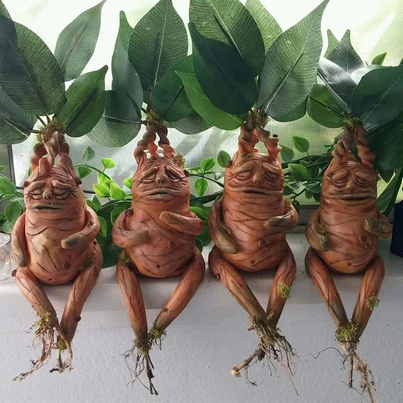 1 STKS Mandrake Gras Hars Stan - Resin Art For Anniversary Gift recensie en prijs