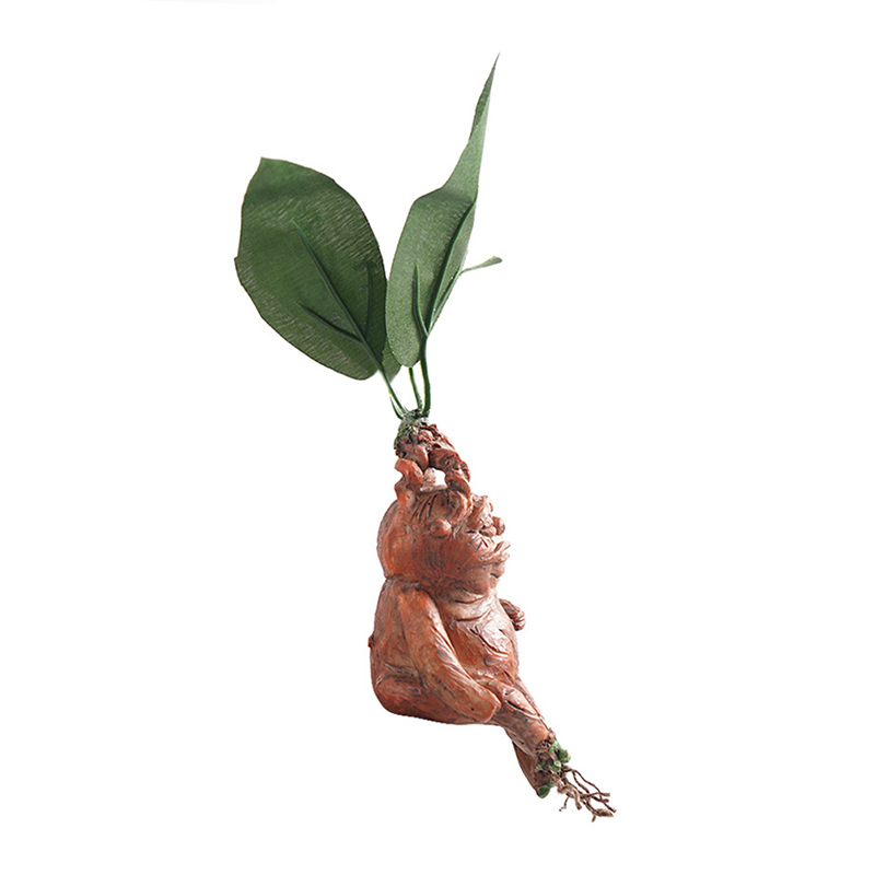 1 STKS Mandrake Gras Hars Stan - Resin Art For Anniversary Gift recensie en prijs
