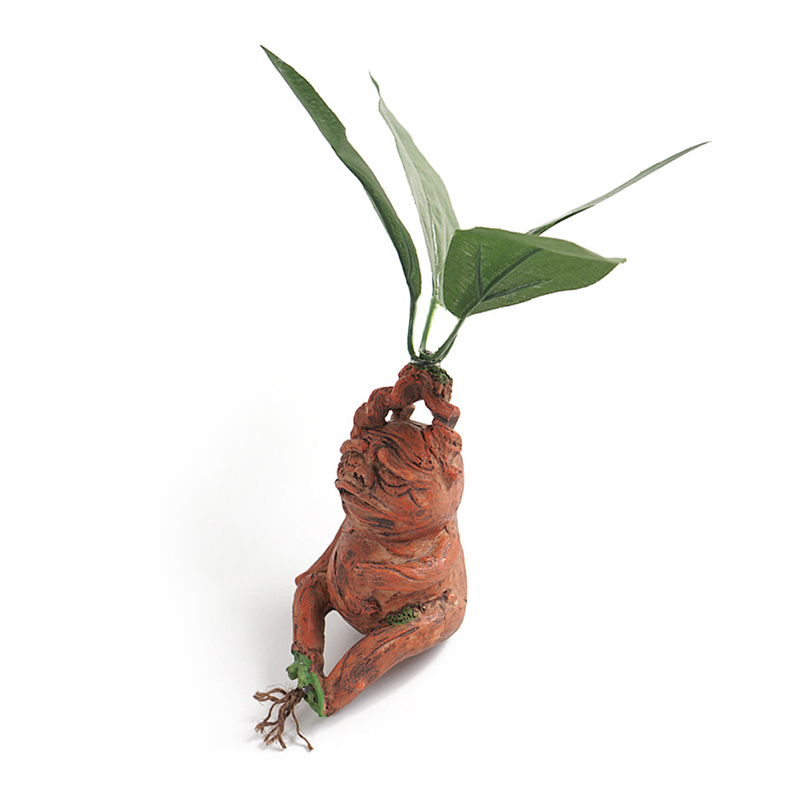 1 STKS Mandrake Gras Hars Stan - Resin Art For Anniversary Gift recensie en prijs
